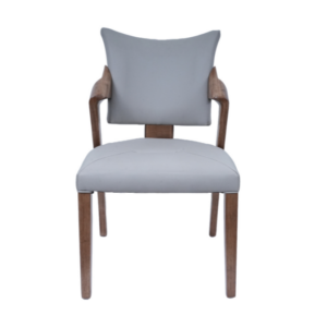 DINNING CHAIRS