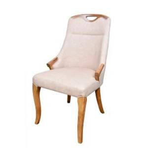 DINNING CHAIRS